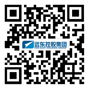 远东控股集团